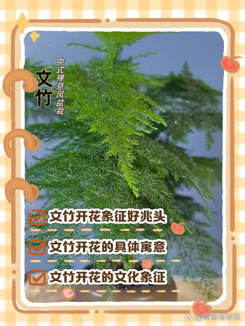 探索梦见竹排预示的吉祥兆头与生活指导秘诀