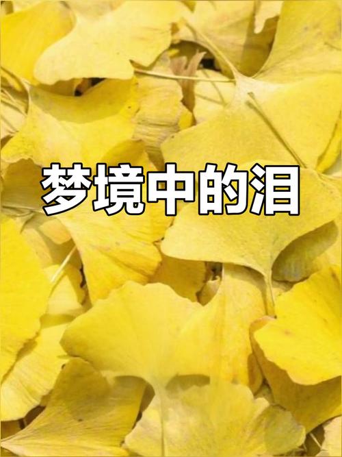 梦见银杏意味着哪些？解密梦境背后的心理暗示与自我探索