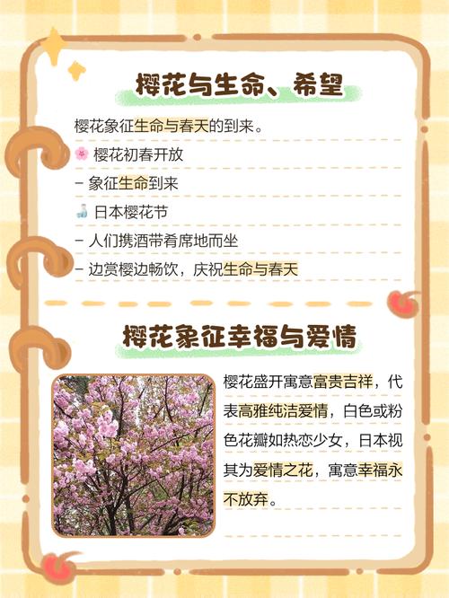 梦见樱花盛开有何深意?揭示梦境背后的心理暗示 梦见樱花盛开有何深意?揭示梦境背后的心理暗示