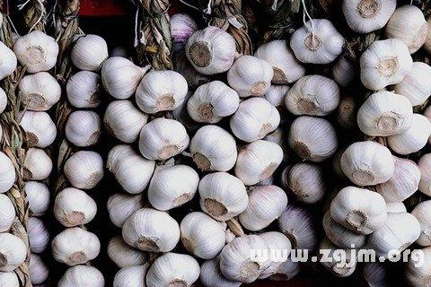 梦见蒜头满地暗藏玄机，揭秘其背后深意和预兆