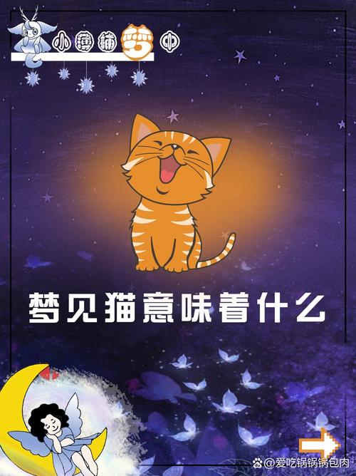 梦见许多猫心理解析与梦境背后深层含义探讨