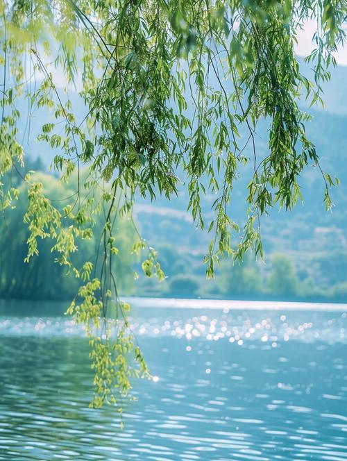 梦见水边垂柳的寓意解析,开启心灵宁静之旅 梦见水边垂柳的寓意解析,开启心灵宁静之旅