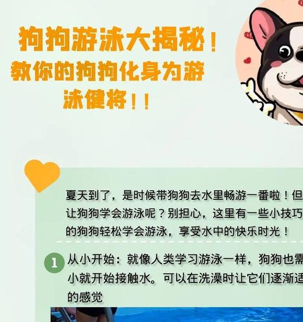 梦见狗游泳解读及5大象征意义解析