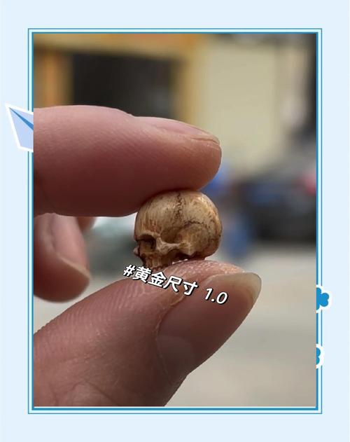 梦见骨头象征哪些?揭示潜在生活暗示与心理启示 梦见骨头象征哪些?揭示潜在生活暗示与心理启示