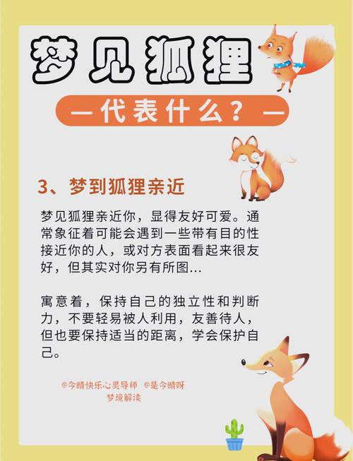 梦见野生动物是哪些意思？解密你的潜意识与生活启示
