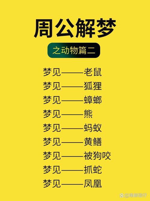梦见野生动物是哪些意思？解密你的潜意识与生活启示
