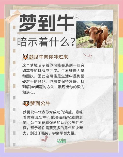 梦见公牛的深意高效解决方案助您解读梦想符号 梦见公牛的深意高效解决方案助您解读梦想符号