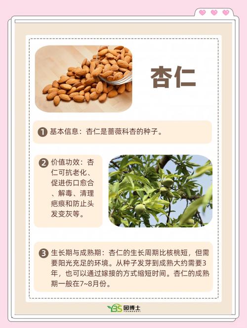 梦见坚果的深层寓意解析，潜意识揭示你的内心渴望！