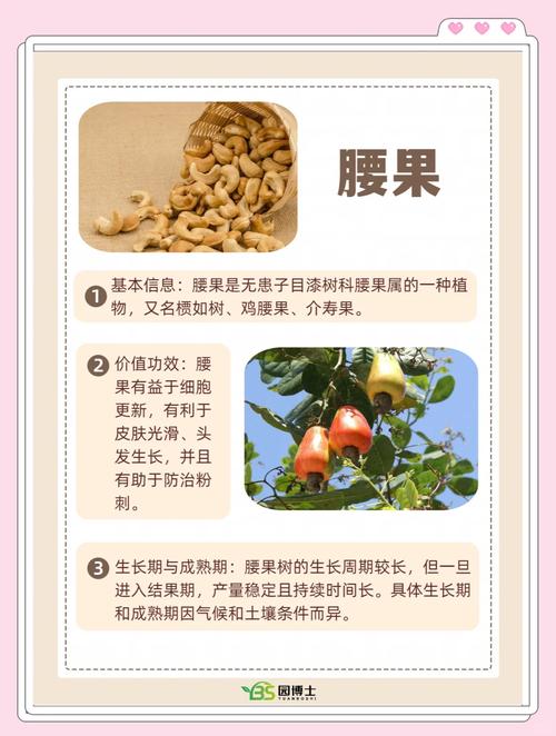 梦见坚果的深层寓意解析，潜意识揭示你的内心渴望！