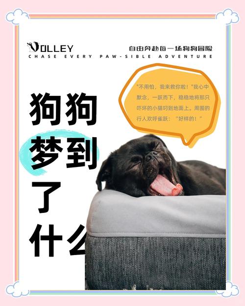 梦见黑狗有哪些寓意?解读梦境背后的心理暗示与文化象征 梦见黑狗有哪些寓意?解读梦境背后的心理暗示与文化象征