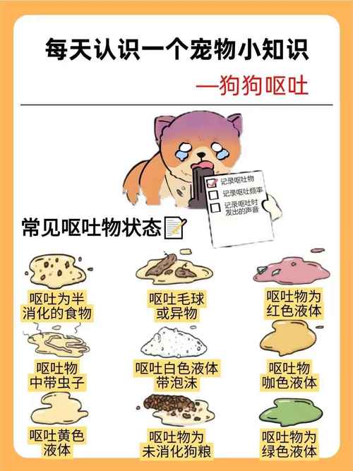 梦见令人作呕的东西意味着哪些？深度解析心理暗示