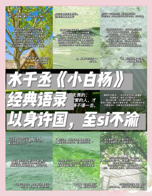 揭秘梦见白杨的含义解读心理暗示与生活启示