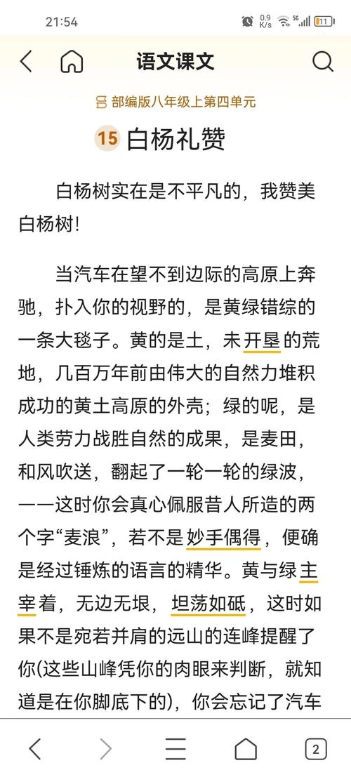 揭秘梦见白杨的含义解读心理暗示与生活启示