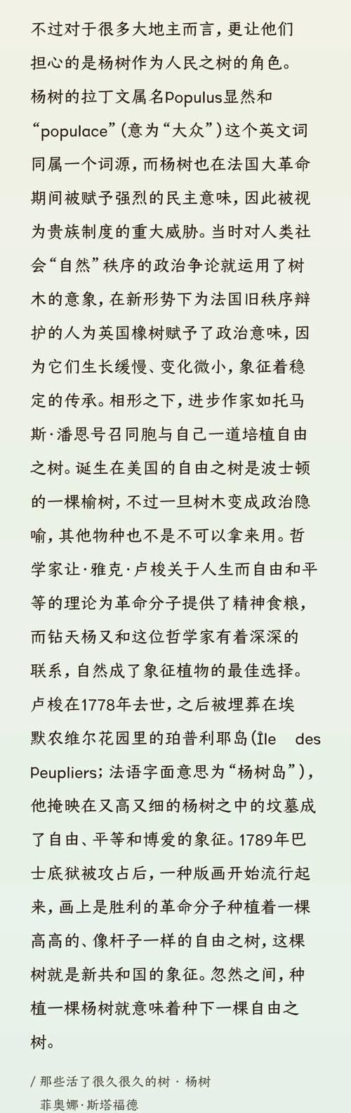 揭秘梦见白杨的含义解读心理暗示与生活启示