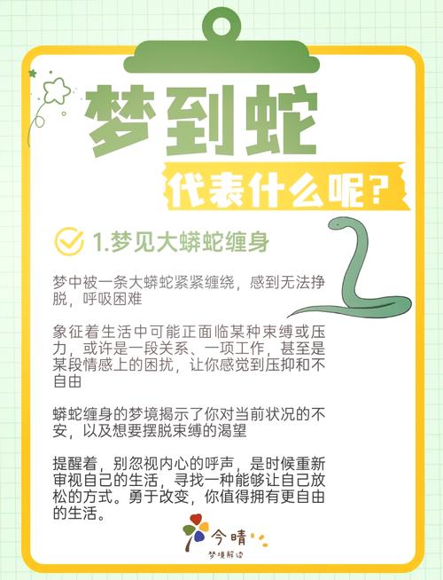 梦见蟒蛇象征意义揭秘，用户解锁内心深处的潜意识力量！