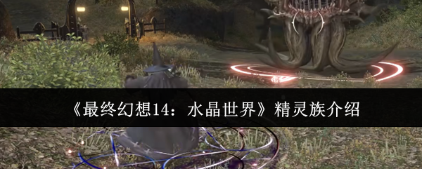 精灵族怎么玩才最强？最终幻想14：水晶世界攻略详解！