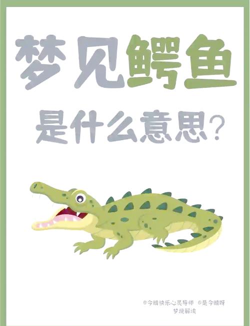 理解梦见短吻鳄的5个象征意义及其心理暗示