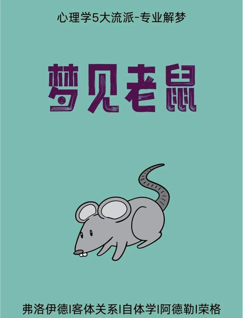 梦见老鼠夹揭秘4大心理解析与专家建议 梦见老鼠夹揭秘4大心理解析与专家建议
