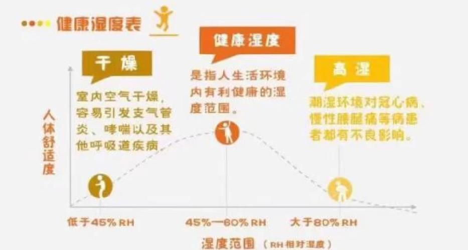 揭秘梦见湿度的10种可能含义权威解析与心理解读