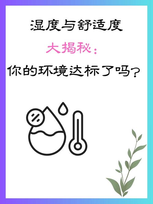 揭秘梦见湿度的10种可能含义权威解析与心理解读