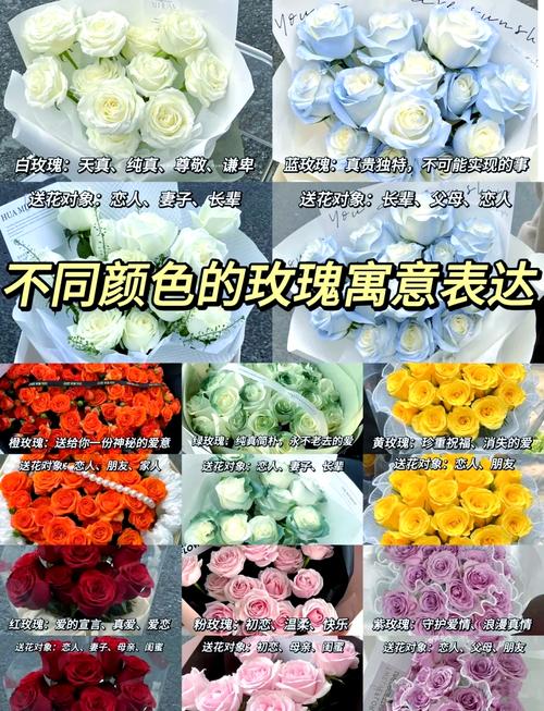 梦见白玫瑰预示哪些?揭示潜藏的心理暗示与情感秘密 梦见白玫瑰预示哪些?揭示潜藏的心理暗示与情感秘密