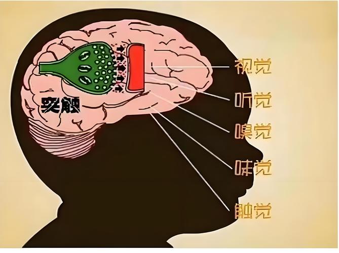梦见机器的深度解析揭示背后的心理暗示及生活启发 梦见机器的深度解析揭示背后的心理暗示及生活启发