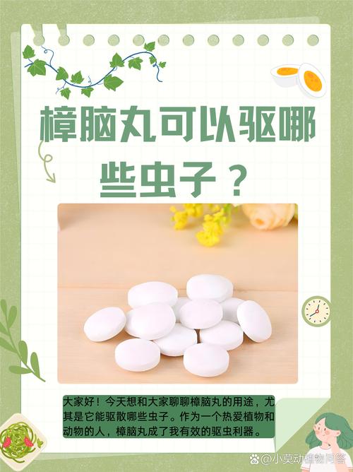 梦见樟脑丸象征哪些?解析你梦中的隐秘讯息! 梦见樟脑丸象征哪些?解析你梦中的隐秘讯息!
