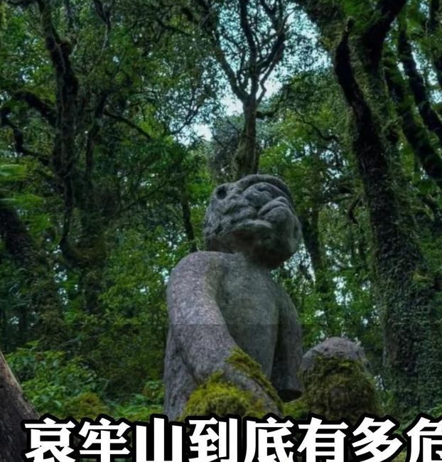 梦见挖山预示哪些?解密鲜为人知的内心奥秘! 梦见挖山预示哪些?解密鲜为人知的内心奥秘!