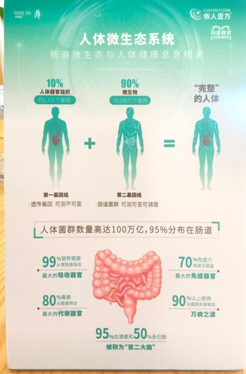 肠道菌群失调如何引发骨关节炎？揭秘科技背后的健康关联！
