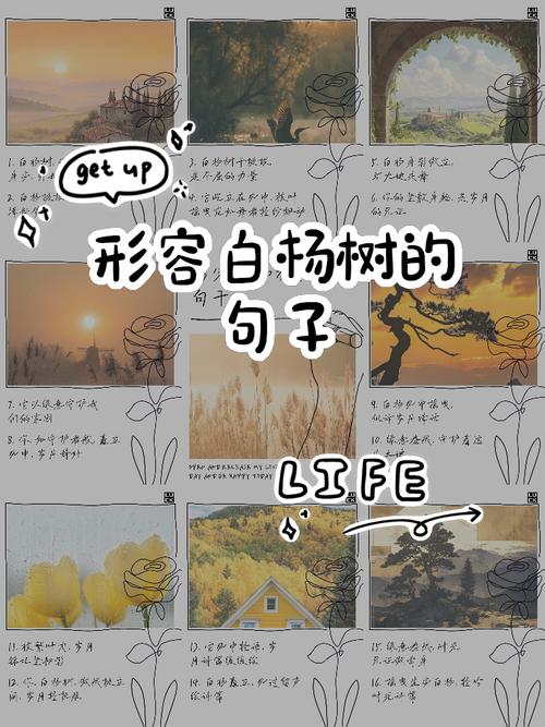 梦见白杨的象征意义,情感解读揭示梦境深层潜在影响! 梦见白杨的象征意义,情感解读揭示梦境深层潜在影响!