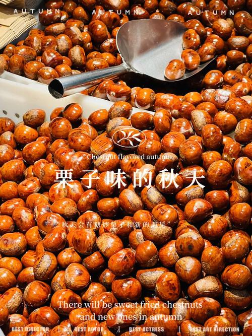 梦见栗子的寓意心理解析与生活启示哪个更贴近你？