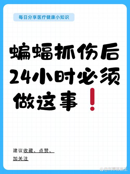 梦见抓痕意味着哪些?深度解析背后心理与生活启示 梦见抓痕意味着哪些?深度解析背后心理与生活启示