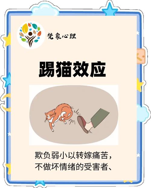 梦见被踢预示着哪些？深入解析心理暗示与情绪管理技巧