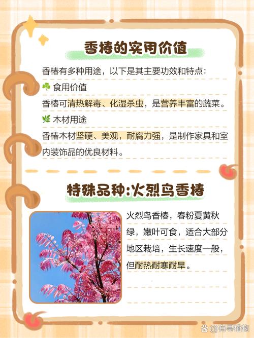 梦见香椿树有何寓意?揭秘梦境解析与生活启示 梦见香椿树有何寓意?揭秘梦境解析与生活启示
