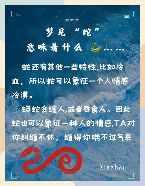 梦见蛇跟随人离开意味着哪些?解读梦境背后的心理暗示 梦见蛇跟随人离开意味着哪些?解读梦境背后的心理暗示
