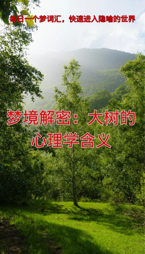 梦见树木茂盛有何象征意义?揭开自然梦境中的心理暗示 梦见树木茂盛有何象征意义?揭开自然梦境中的心理暗示