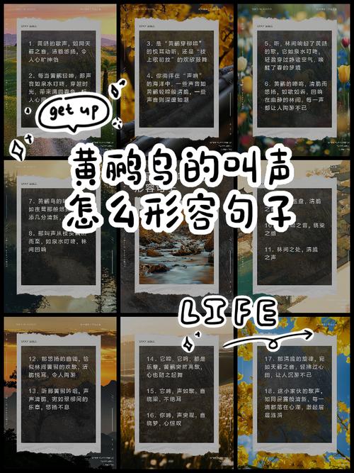 解析梦见黄莺含义，获取改善生活的心理秘诀