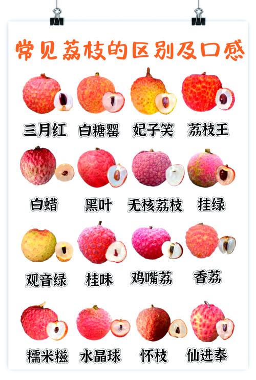 梦见荔枝预示哪些？探索梦境中的吉凶与心理解析