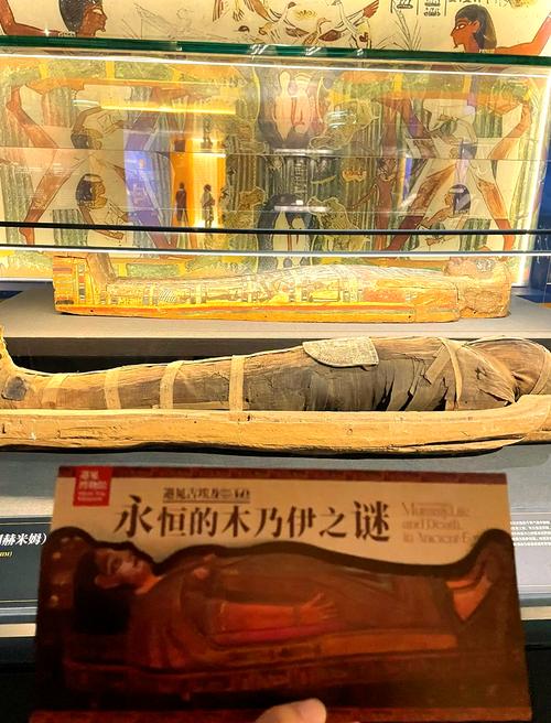 梦见木乃伊解析揭秘心理暗示背后5个权威观点