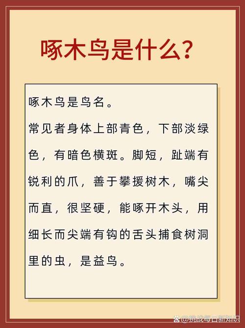 梦见啄木鸟预示哪些？揭示隐藏的心理暗示和生活启迪