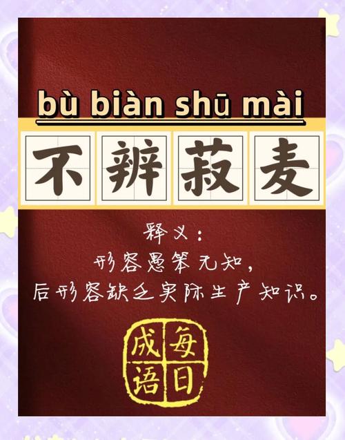 梦见麻豆麦象征深意解析背后隐含的潜在机遇与挑战
