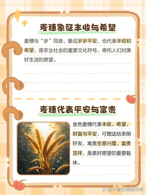 梦见谷麦意味着哪些？解读梦境中的谷物象征意义