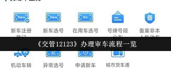 揭示审车秘诀：交管12123办理流程全解析