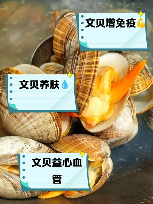 解梦指南揭秘梦见文蛤等5种贝类的象征意义