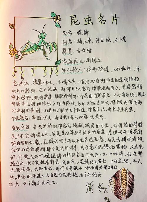 解读梦见螳螂的象征意义及心理暗示,助您更好自省与成长 解读梦见螳螂的象征意义及心理暗示,助您更好自省与成长