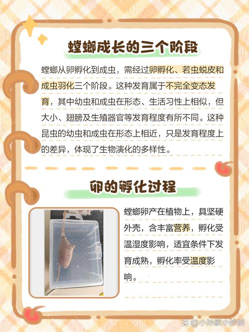 解读梦见螳螂的象征意义及心理暗示,助您更好自省与成长 解读梦见螳螂的象征意义及心理暗示,助您更好自省与成长