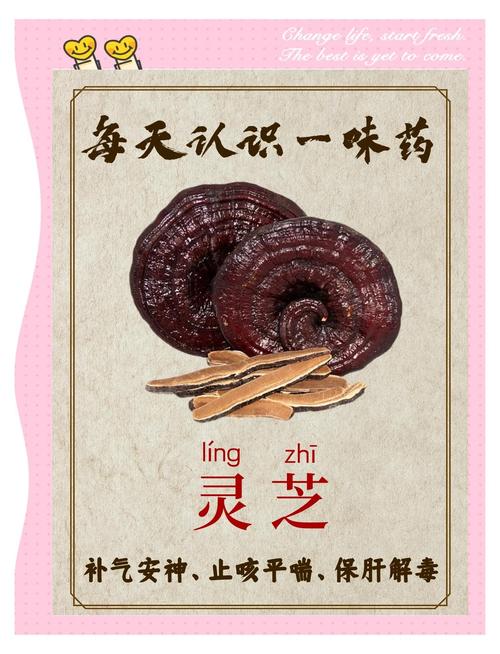 梦见灵芝的象征意义高效解决方案解读与指南