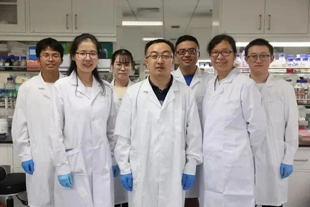 科学突破：我国实现将二氧化碳转化为糖的新技术！