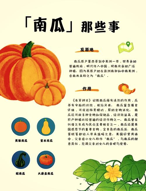 梦见南瓜寓意心理解析与日常生活影响深度对比