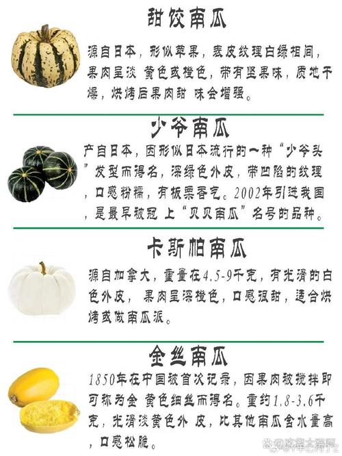 梦见南瓜寓意心理解析与日常生活影响深度对比